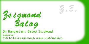 zsigmond balog business card